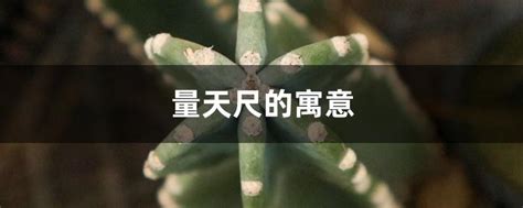 量天尺風水|量天尺的寓意与风水